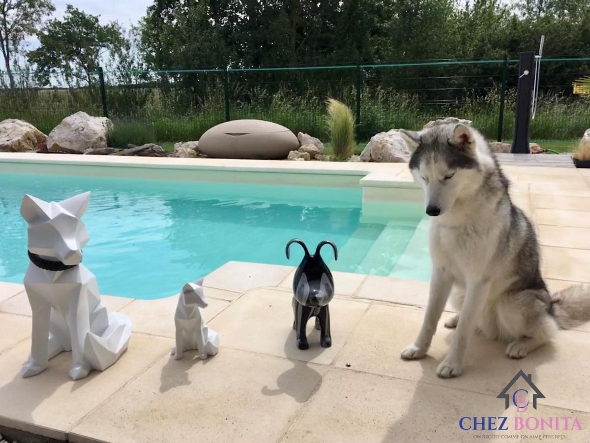 Chez Bonita Hotel Chouzy-sur-Cisse Екстериор снимка